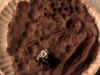 Lunar clay 3.jpg (138986 bytes)